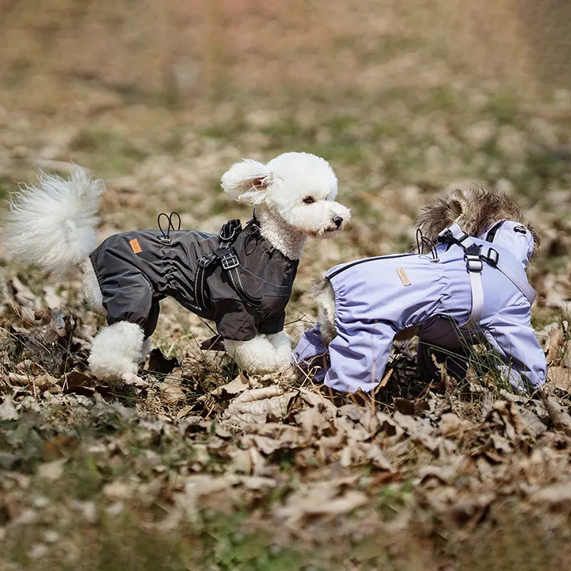 RainLuxe — Waterproof Dog Raincoat with Harness