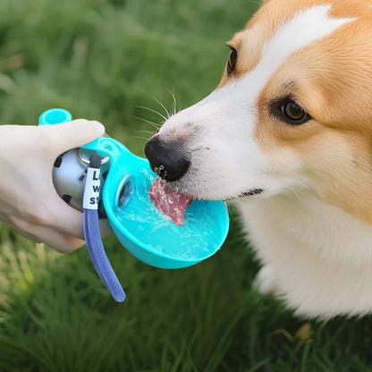 Water Bottle