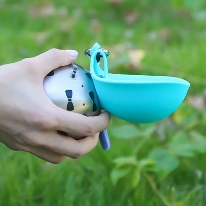 Water Bottle