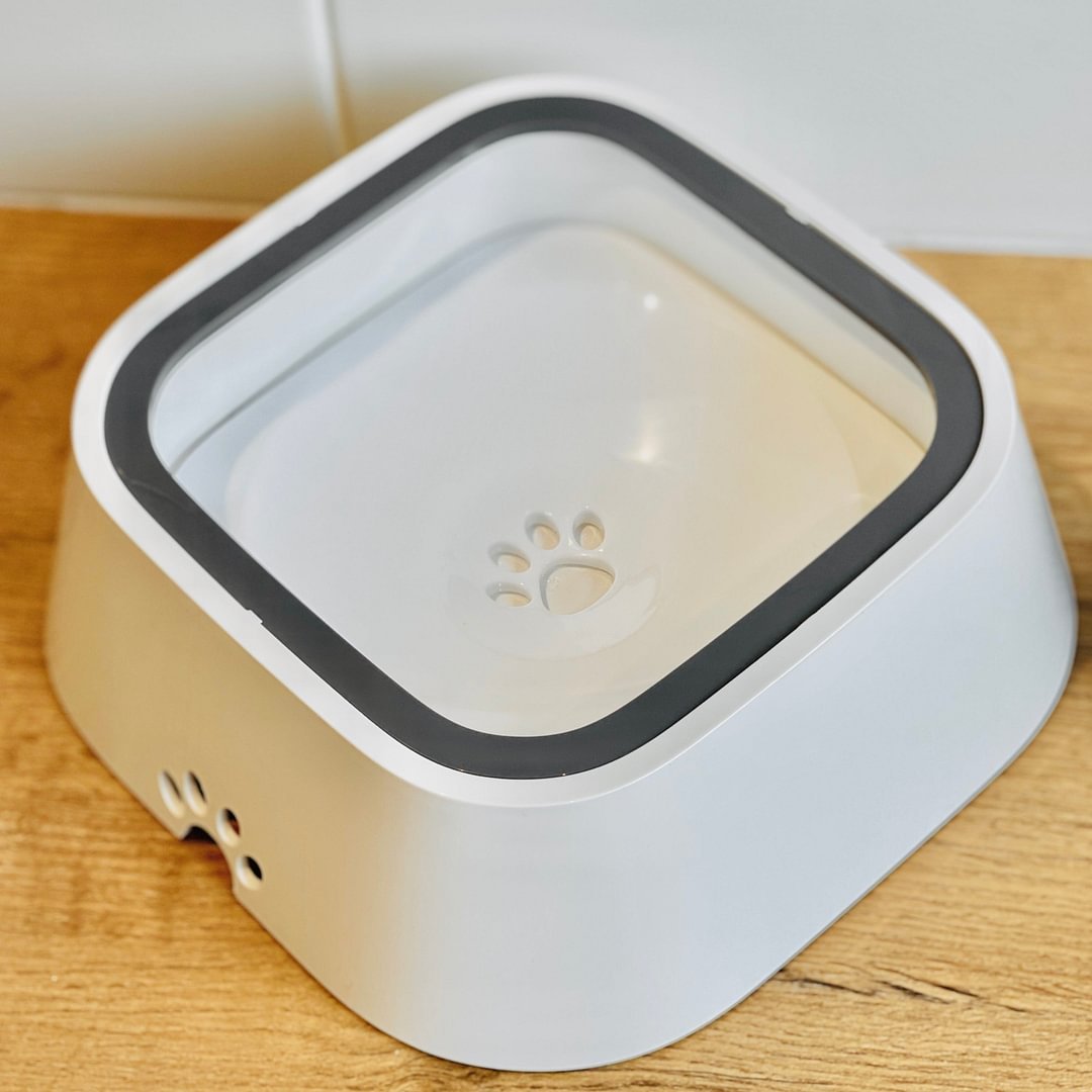 Elevated No-Spill Water Bowl