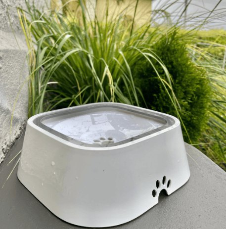 Elevated No-Spill Water Bowl